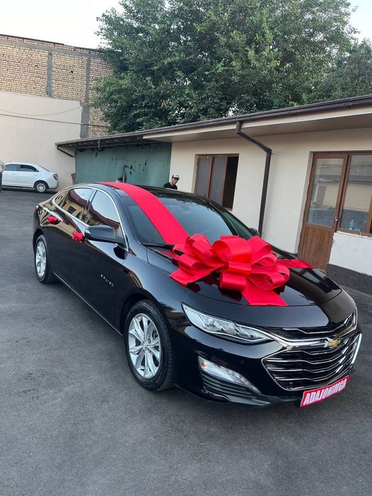 Onixga bantik, бантик на машину, автобан, бантики