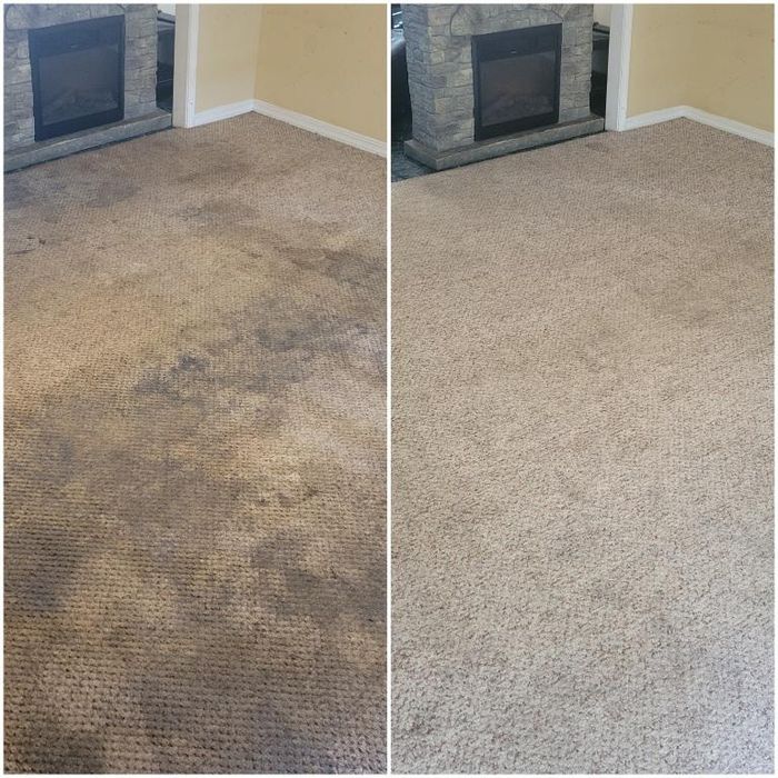 Химчистка моющий пылесос Karcher аренда