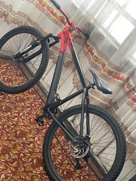 велик тианс красный