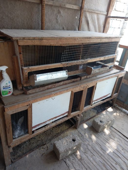 Quyonlar va quyonlar uchun mini ferma sotiladi.