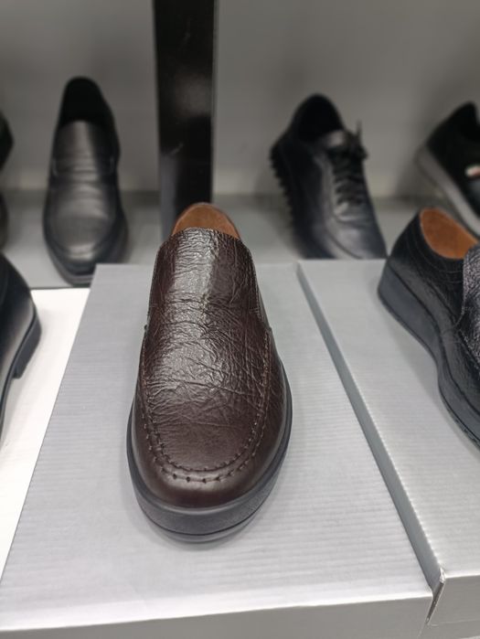 Саламандер качество проверено