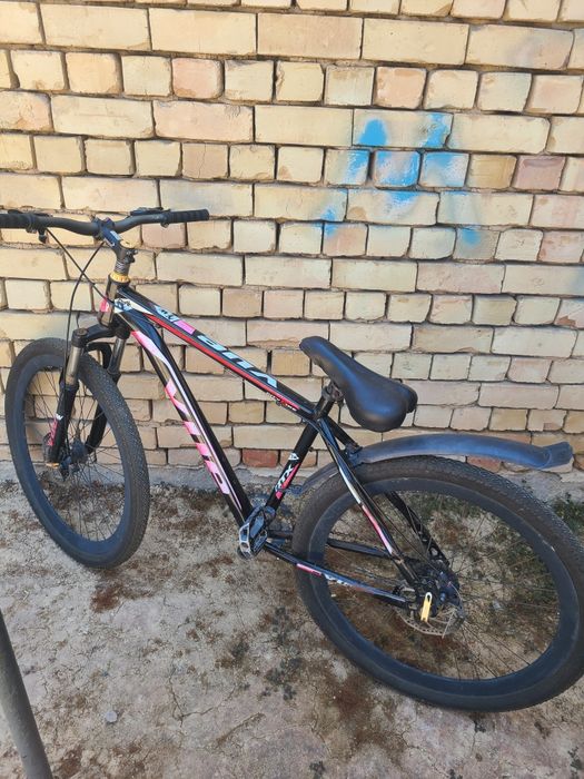 Velosiped 29, xolati zor