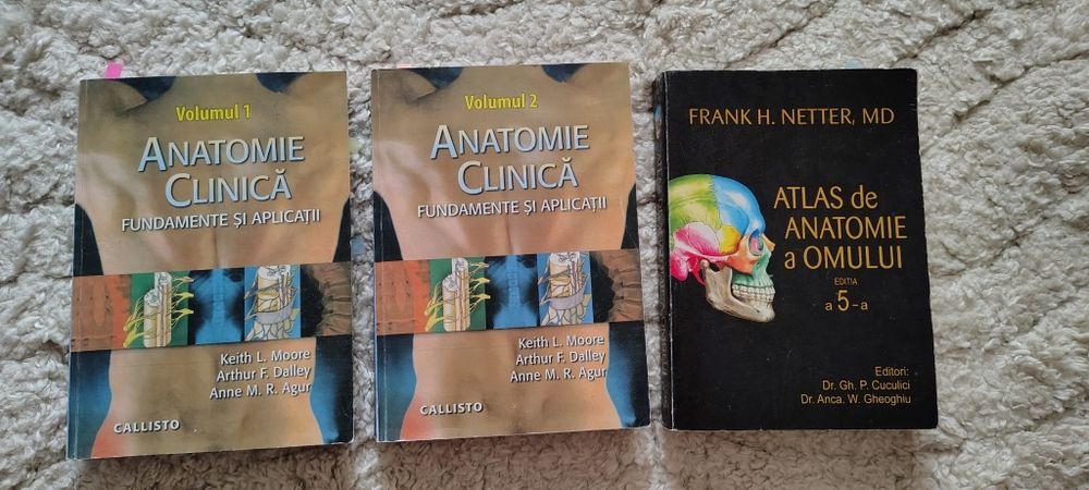 Anatomie clinica