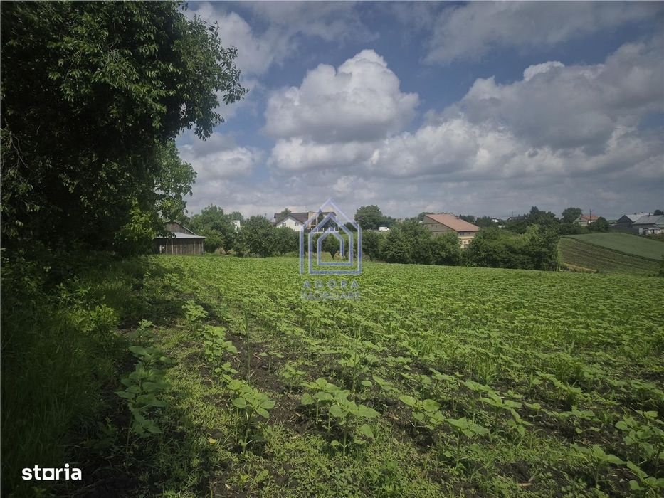 Teren intravilan Moara Nica - zona Scolii