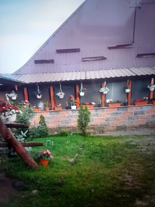 Vind casa di teren in comuna voitinel  str boieru