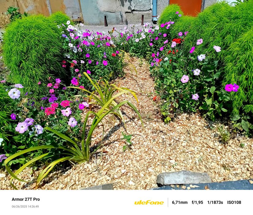 ЧЕРНИЧЕВ МУЛЧ - Натурален / Дървесен чипс /  Мулч Черница