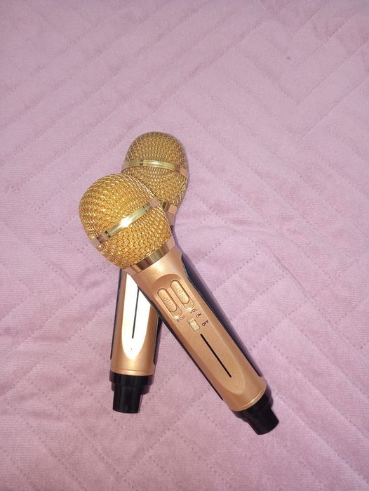 Портавиыная уолонка и два микрофона