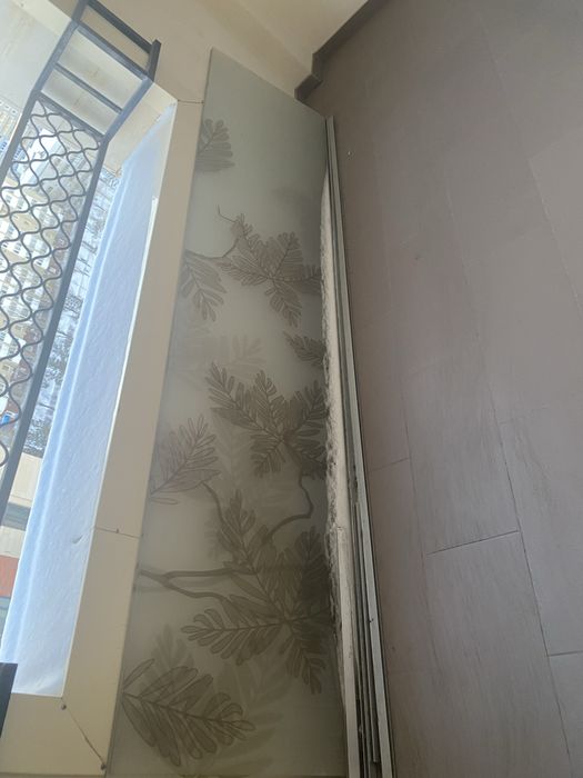 Стеклянные дверцы