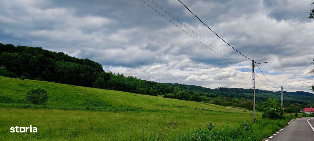 Teren larg 2 ha, la padure, panoramic dealuri si rau, cu curent, DJ