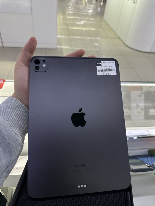 iPad Pro 256GB 100%