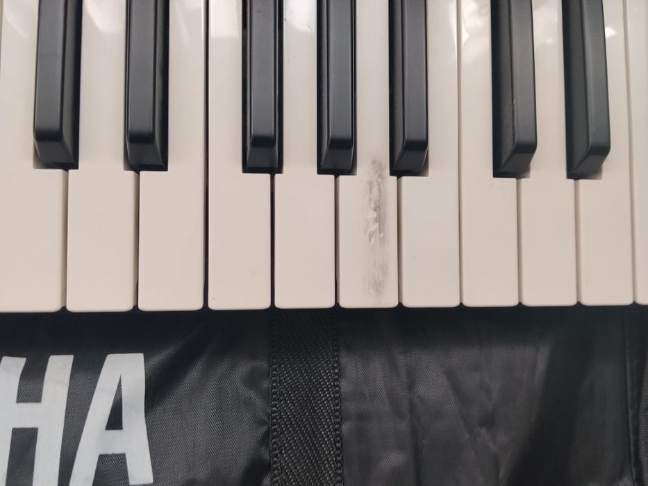 Orga Yamaha cu husa
