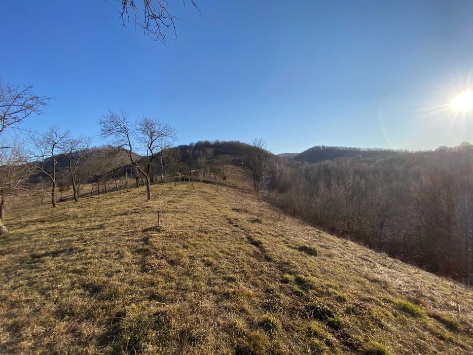 Vand casa si livada in Comuna Ciucea, judetul CLUJ