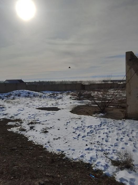 Продам базу рядом с Хоргосом