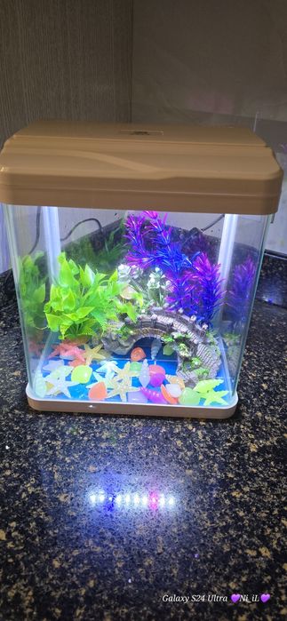 Аквариум для рыбок