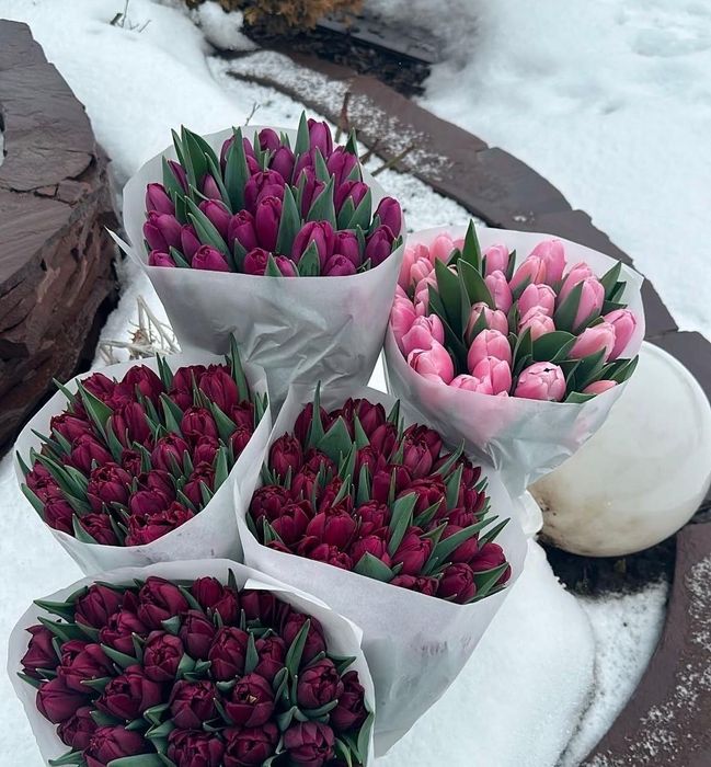 Тюльпаны Темиртау