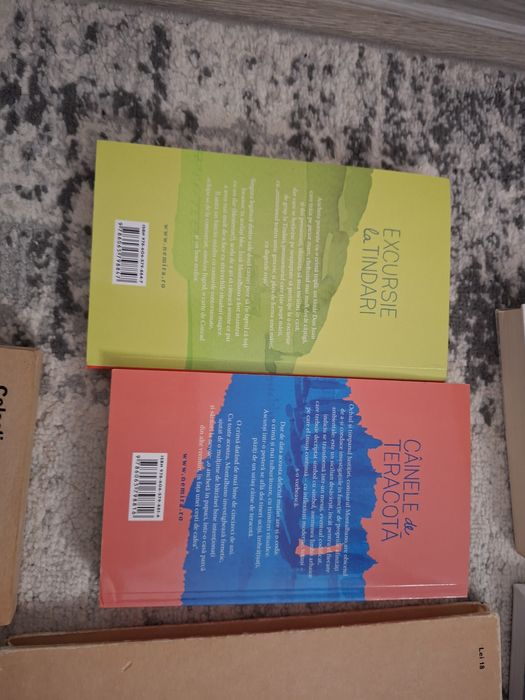 Lot 10 cărți la super pret