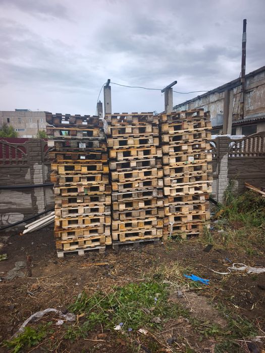 Продам поддоны(паллеты) 75 шт.