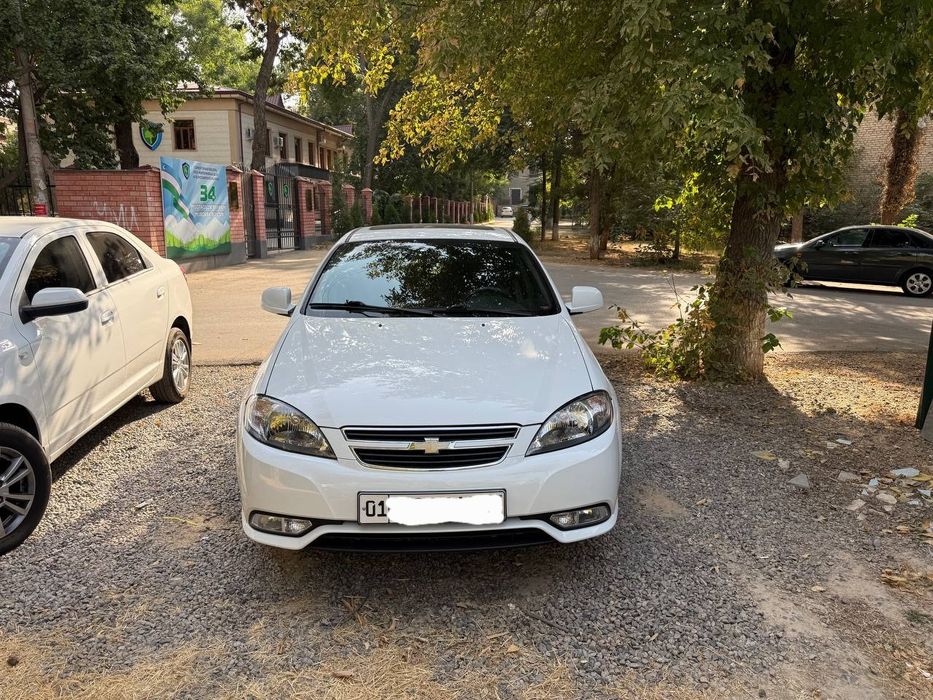 Jentra 2023 Horatio ideal Navarro qilingan