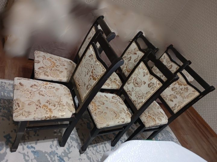6 стульев. Срочно продам.