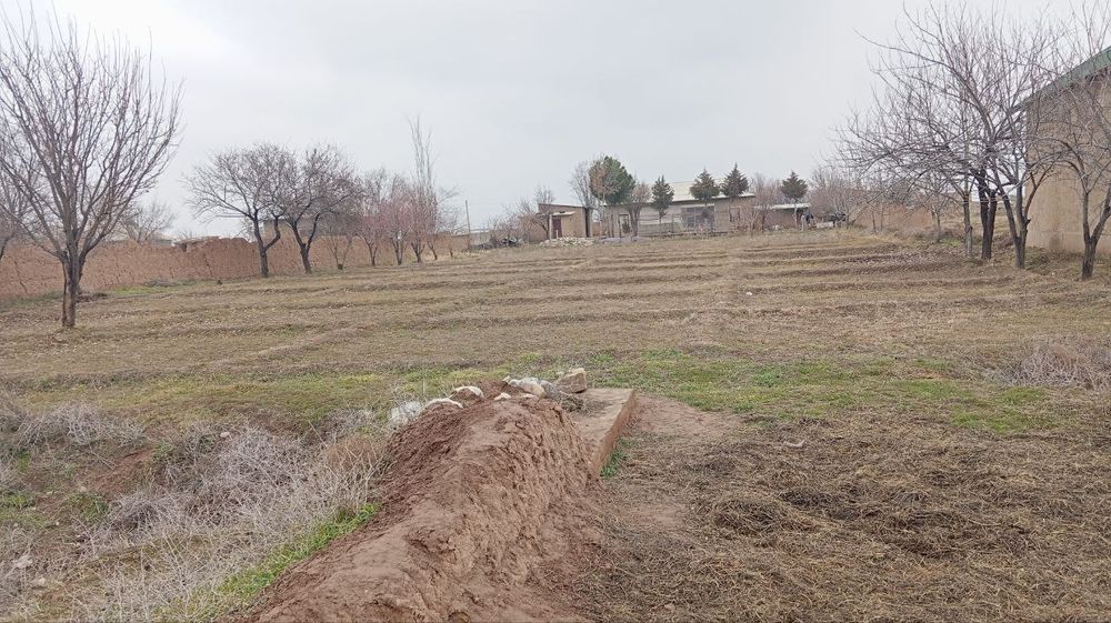 Yer uchastka 15 sotix bor sotixi 10 miliondan kelishiladi