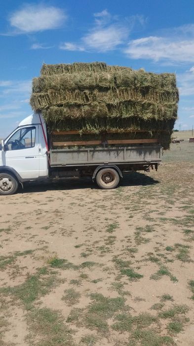 Шоп сатылады тюк , продаю сено ,