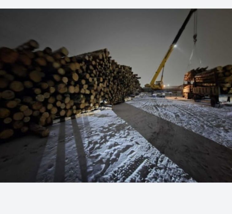 Кругляк,Доска есть в наличии