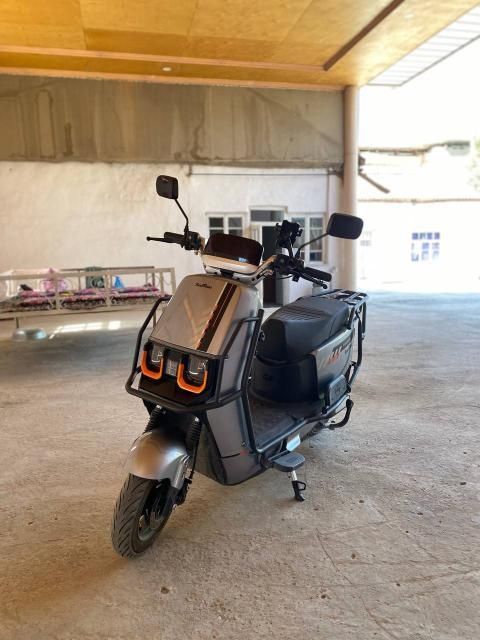 Kami bor xolati Yangi