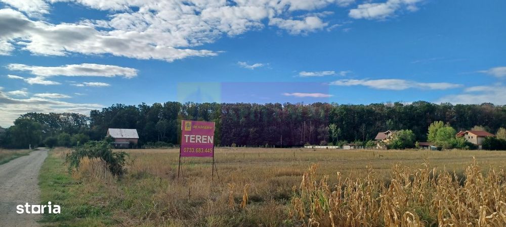 Gulia teren 11.157 mp, lângă Pădurea Cereanca