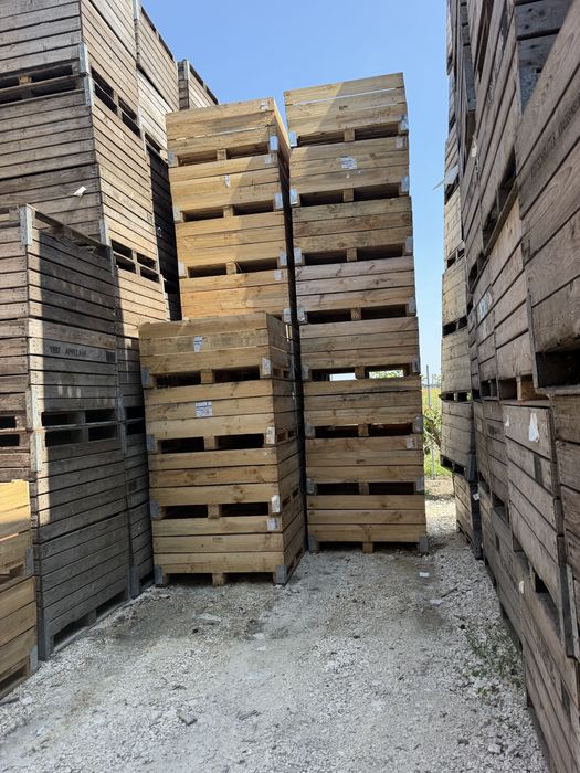 Boxpaleti lemn in stare foarte buna !