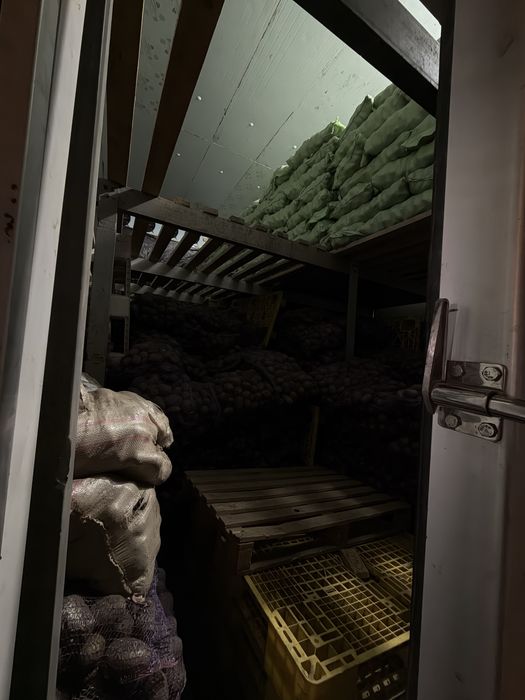 Аренда Холодильных и морозилных складов