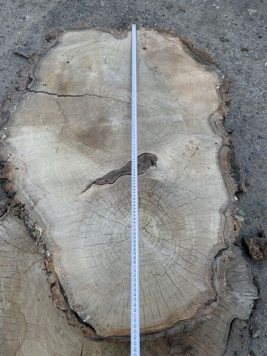 Продам слэб карагача-живой край