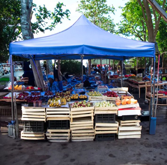 Шатёр Усиленный 2/2