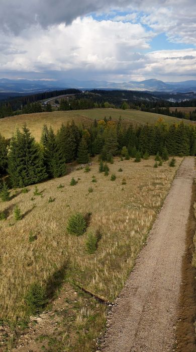Teren 800 mp (8 ari) – Pasul Tihuța, Piatra Fântânele