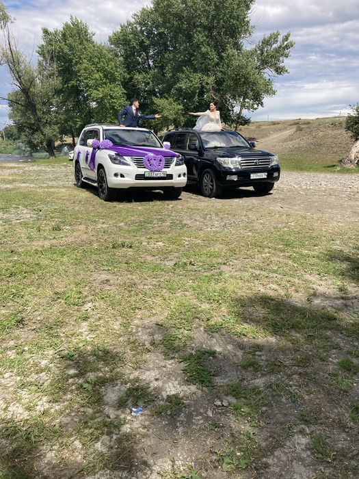 CarRental Премиум-прокат авто с водителем