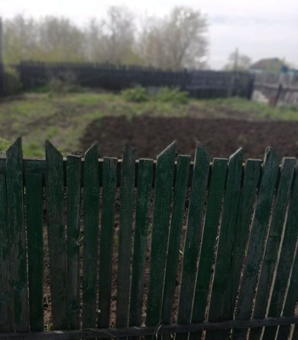 Продам дом в селе Толмачевка .