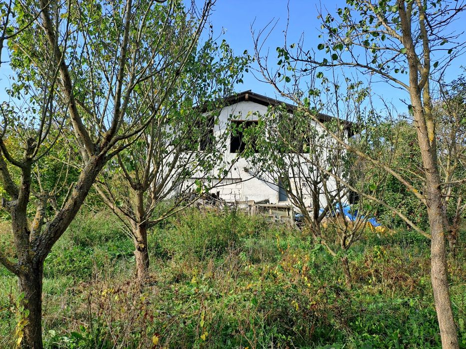 Vând teren intravilan l in suprafața 19000 mp. și hala