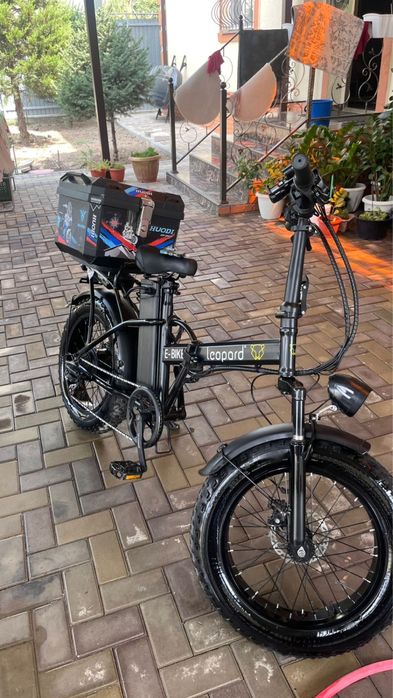 Леопард электро велик