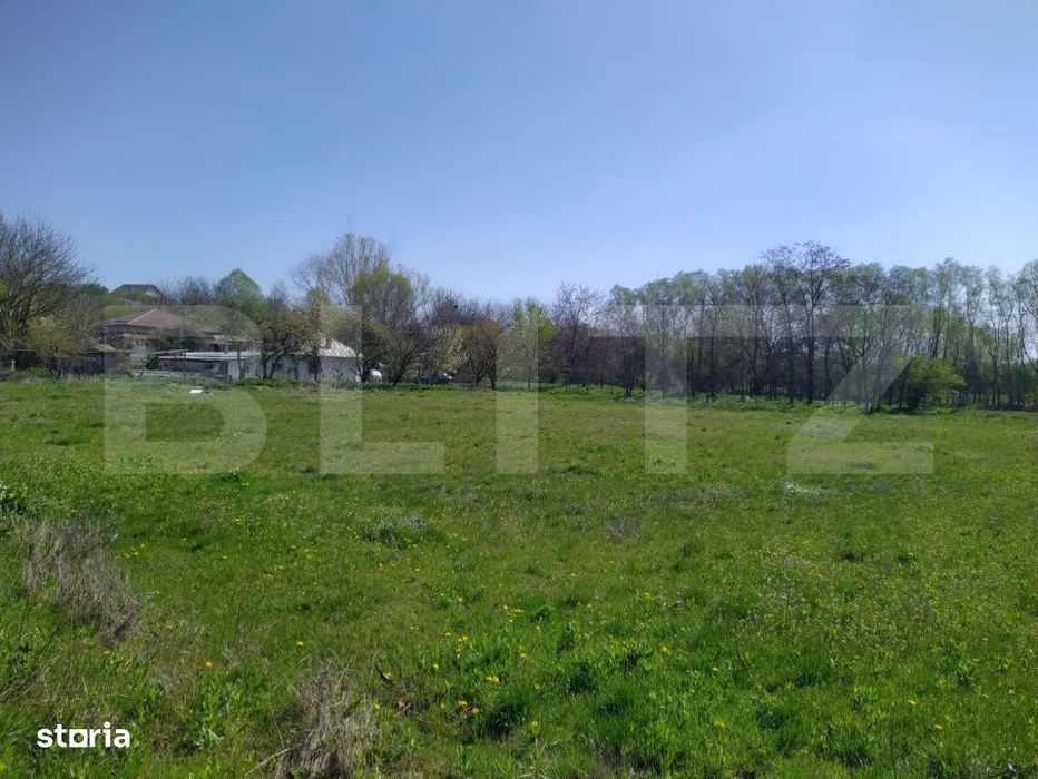 Teren EV si IV cu casa, 29.600 mp, utilitati si acces facil, Albesti