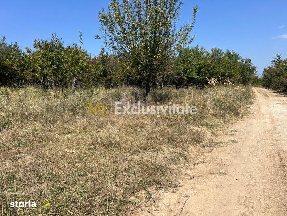 Teren intravilan 5744 mp Mosoaia-Prunilor