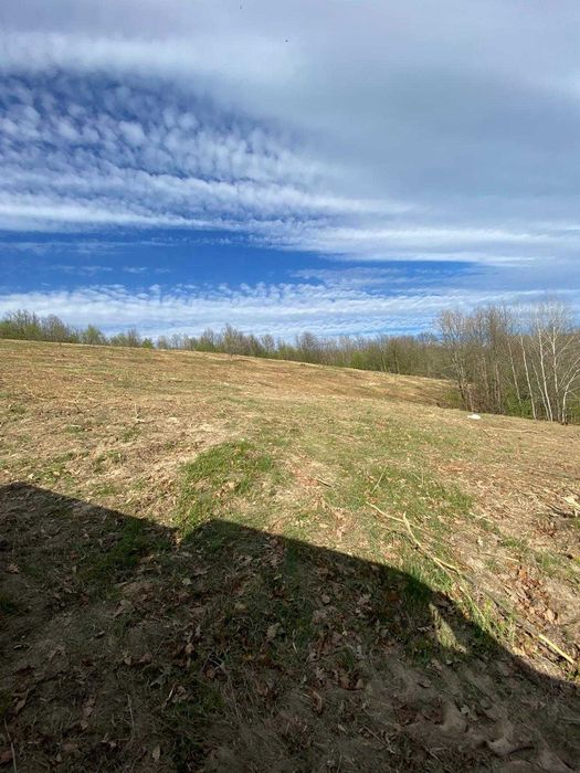 Pășune cu pădure 5.5 ha sat Dumbrăvița Com Barzava