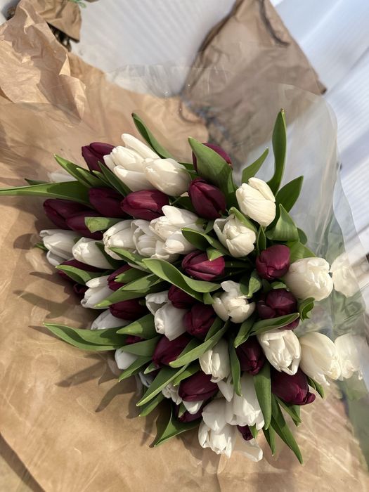 Голландские тюльпаны