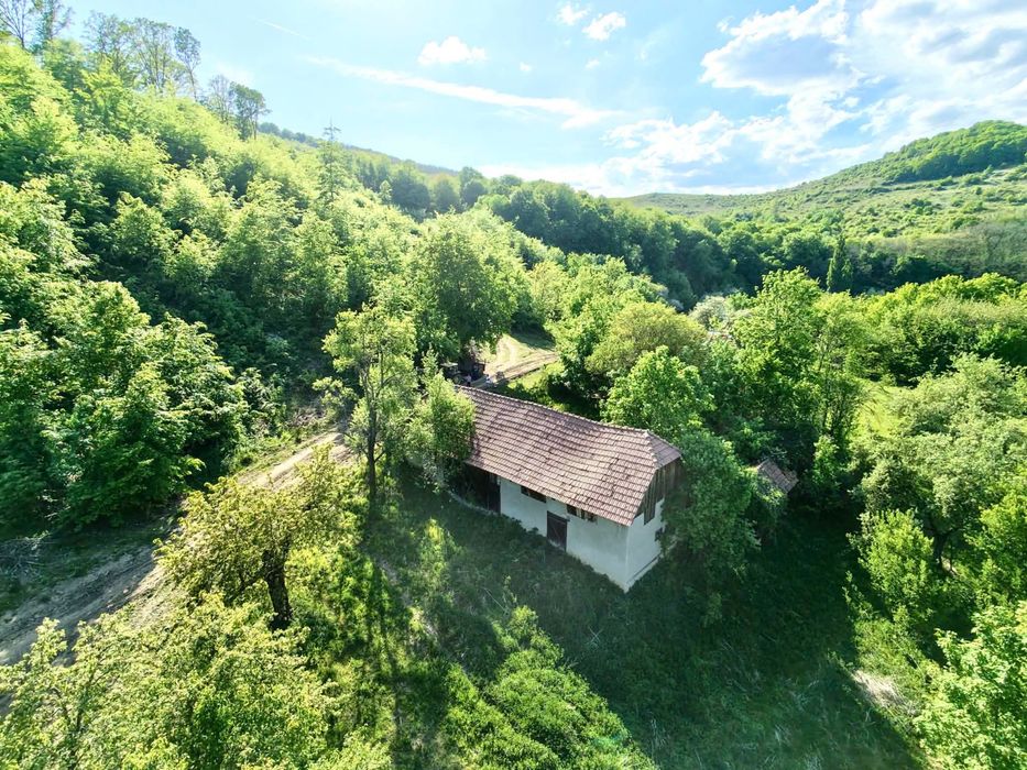 Casă de vânzare + teren 15 ari – zonă liniștită lângă pădure (Unguraș, jud. Cluj)
