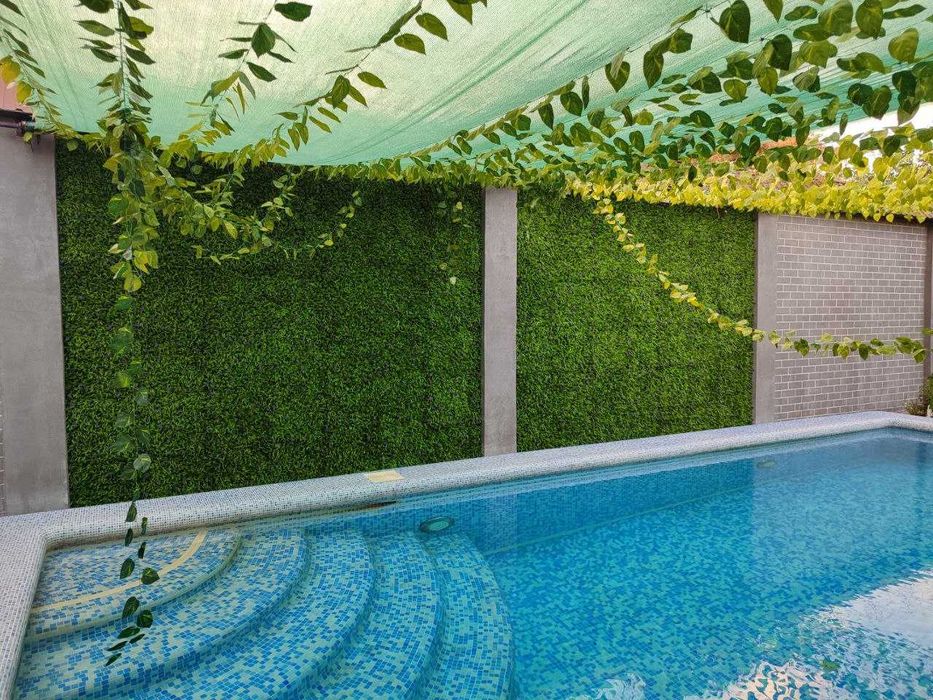 Фитостена озеленение,