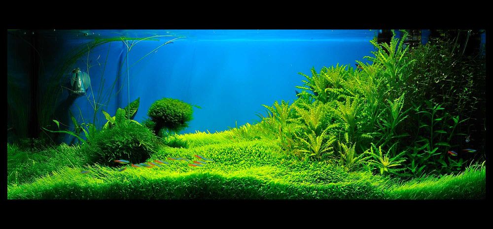 Lampa led Hand Made de calitate pentru acvariu Aquascaping