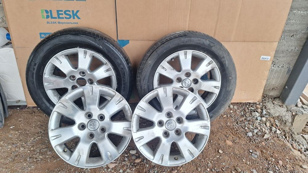 Ромашка титанка R16