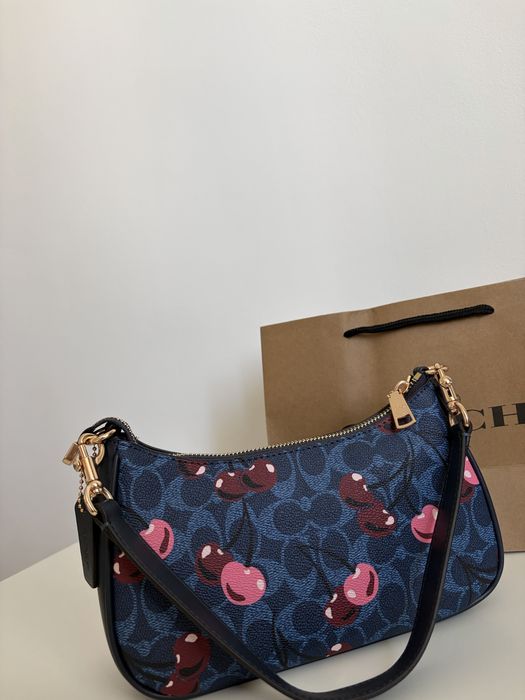 coach teri 24 bag