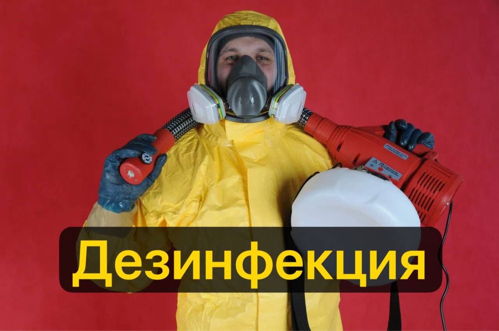 Дезинфекция хизмати клапа таракан каламуш