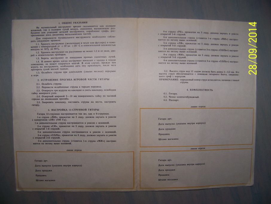 Двенадцатиструнная гитара