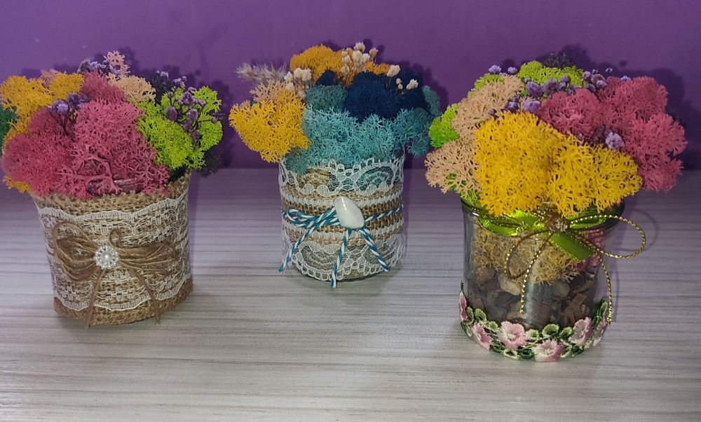 Бурканчета и мини кашпи с естествен скандинавски мъх