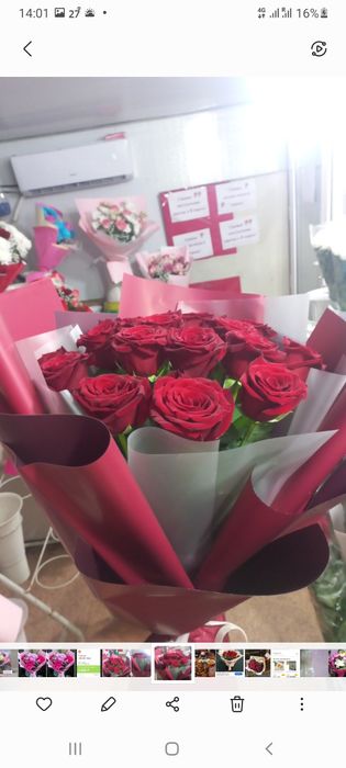 Гүлдер,тюльпаны розы хризантемы лилии герберы гипсофила орхидея